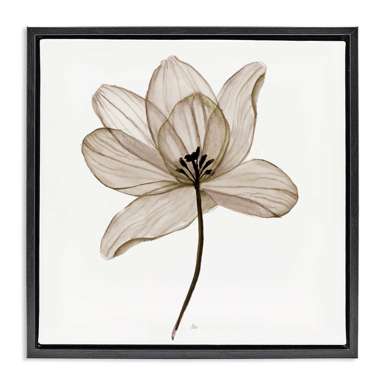 Stupell Industries Beige Opaque Flower Framed Floater Canvas Wall Art Design by Nan
